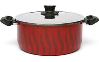 New Tempo Flam Edin Pot 28 cm With Steel Lid product image